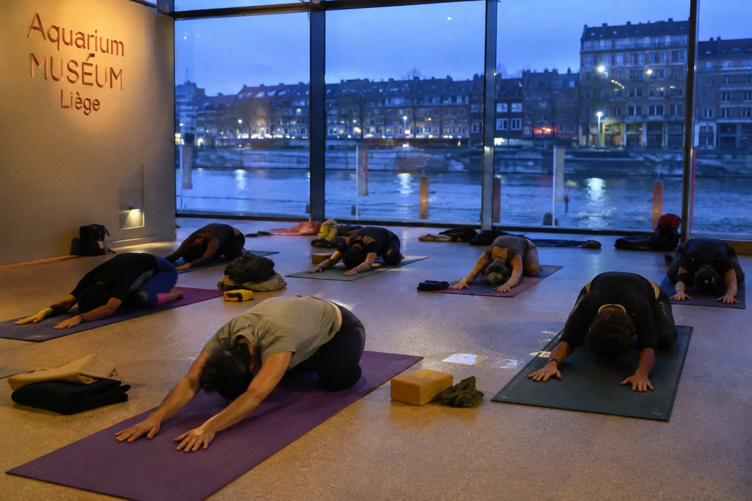 Séances de yoga immersives à l'Aquarium-Muséum de Liège